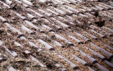 Locksgreen roof cleaning companies